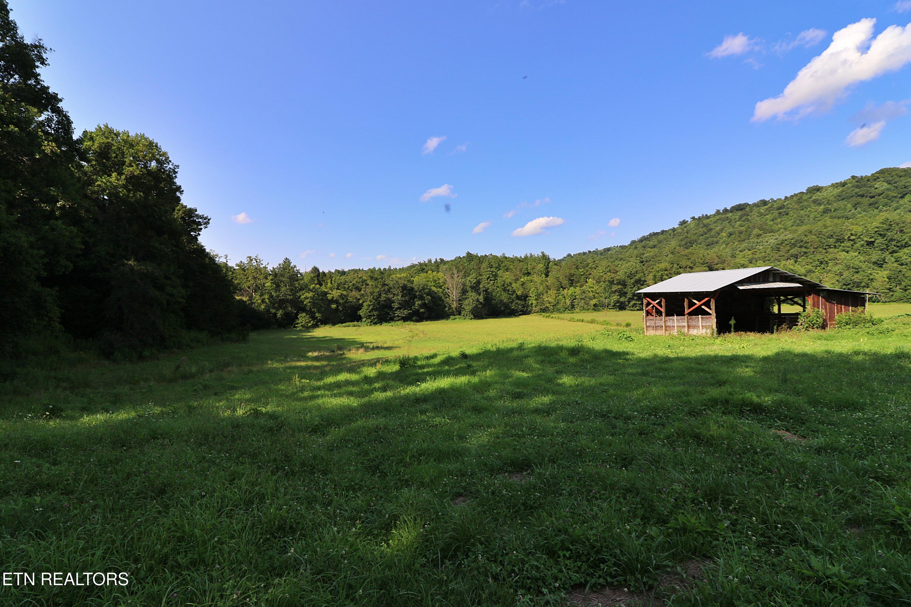 7914 Brimstone Road Robbins, TN 37852 - Photo 47 of 53 094A4379