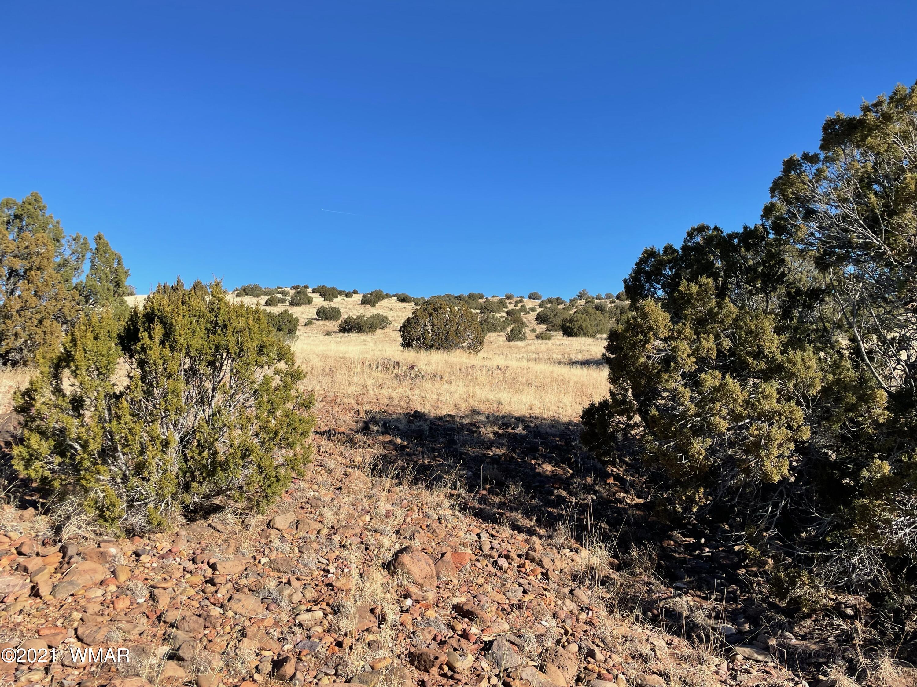 13 Antelope Road Concho, AZ 85924 - Photo 11 of 19