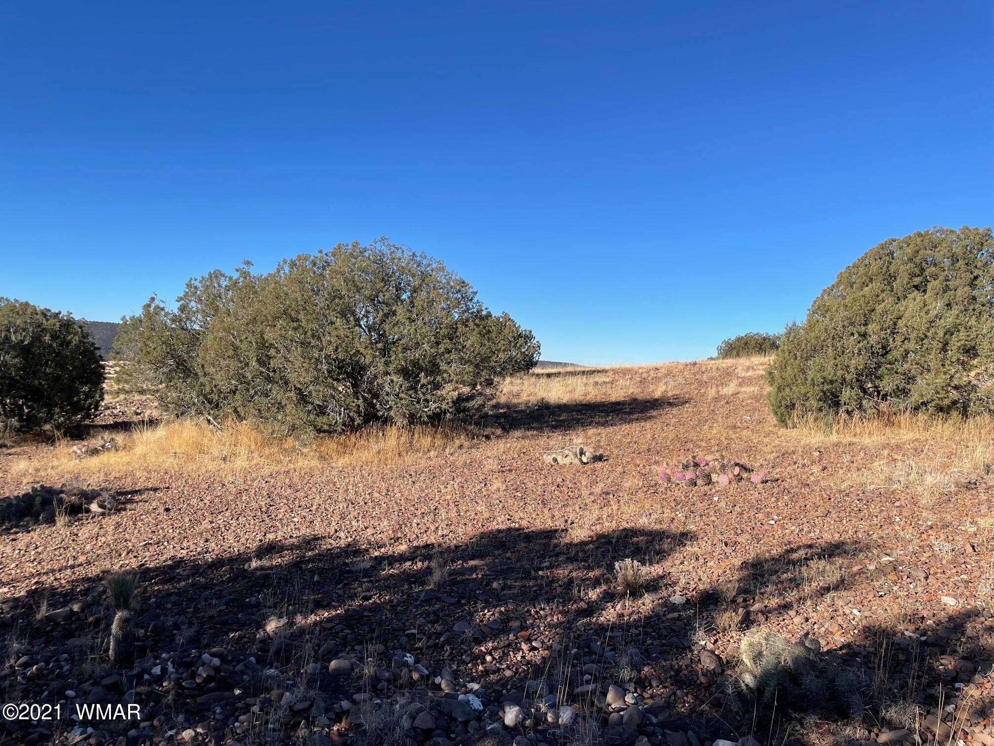 13 Antelope Road Concho, AZ 85924 - Photo 13 of 19