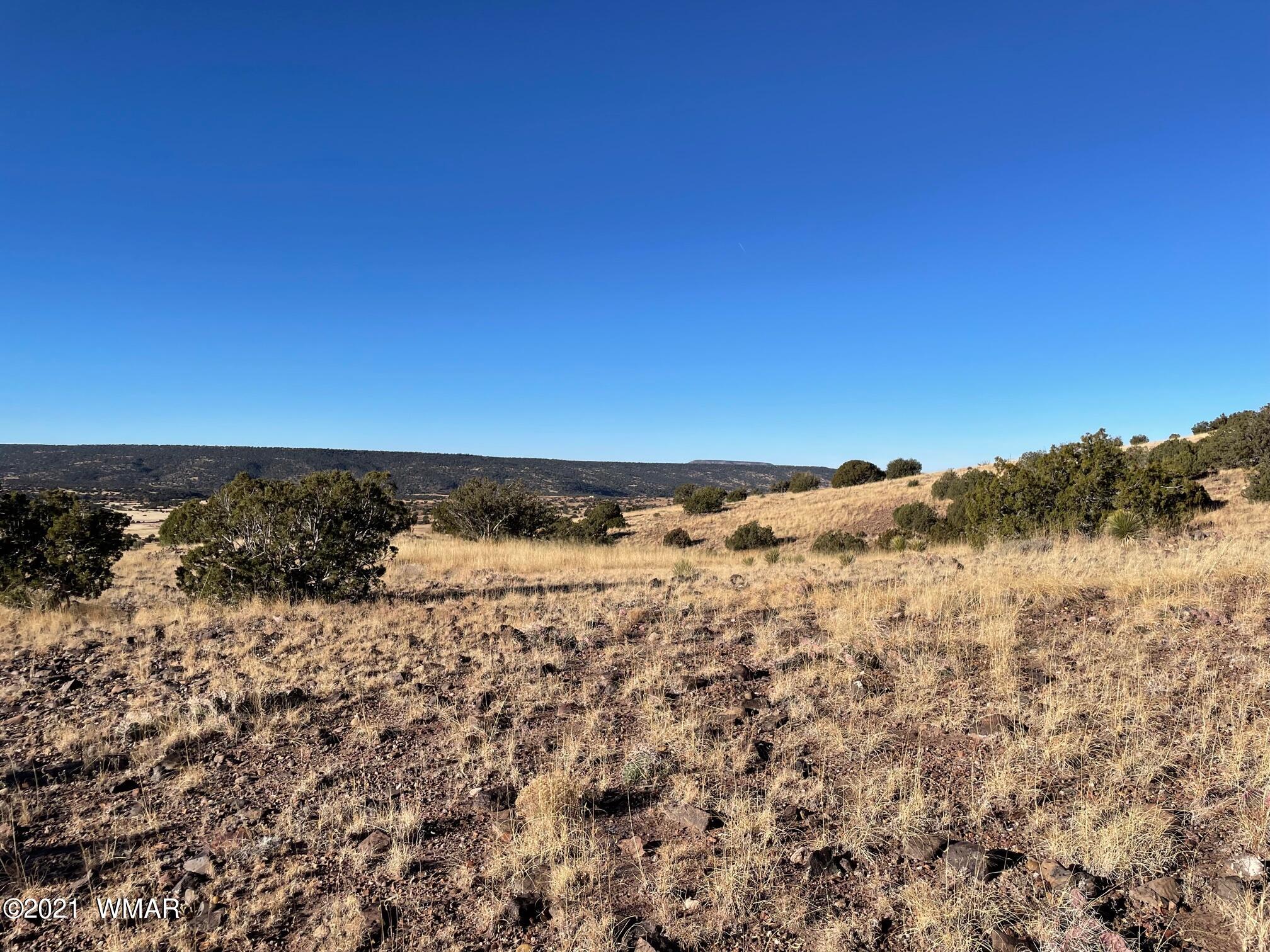13 Antelope Road Concho, AZ 85924 - Photo 14 of 19