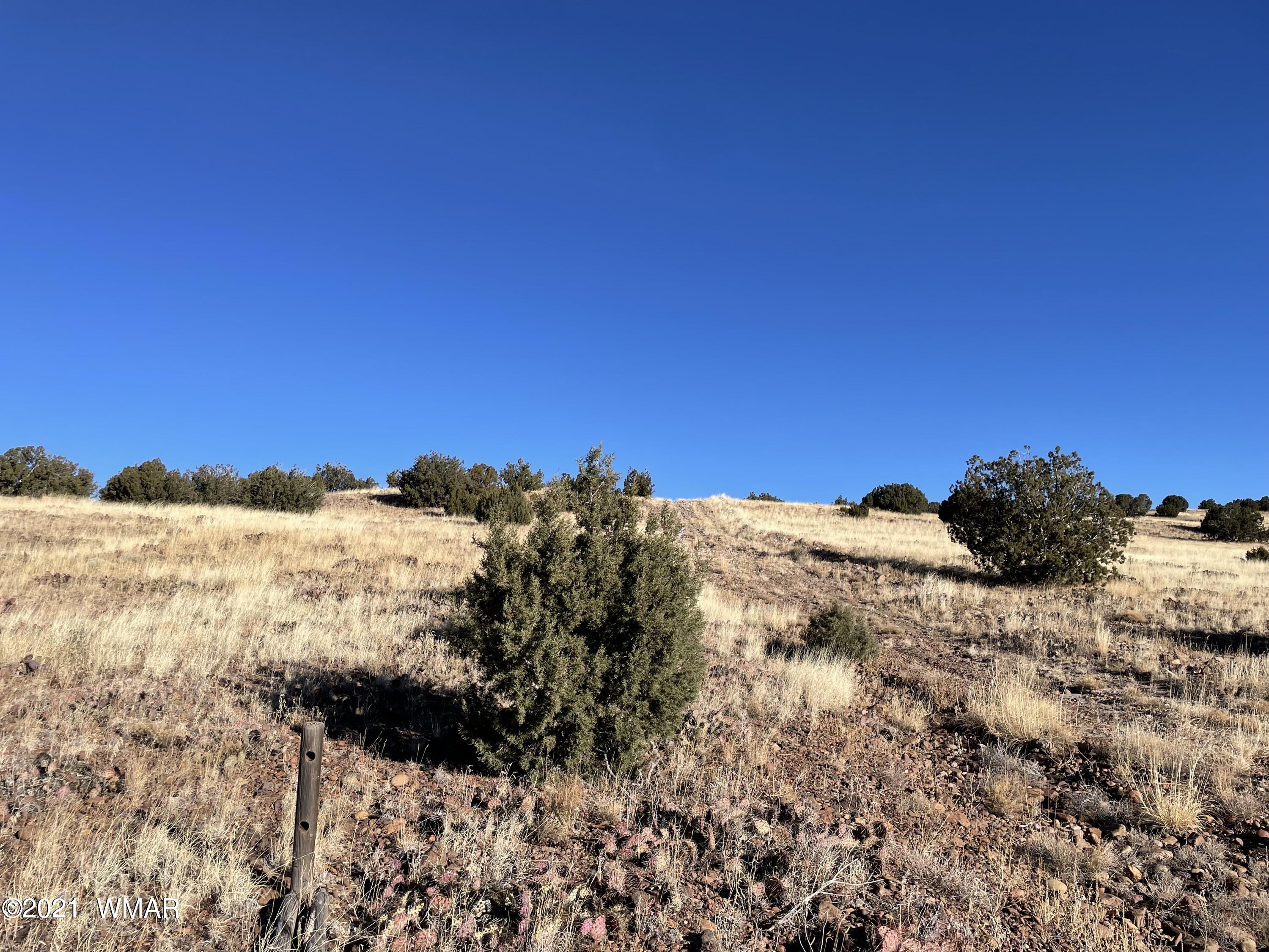 13 Antelope Road Concho, AZ 85924 - Photo 17 of 19