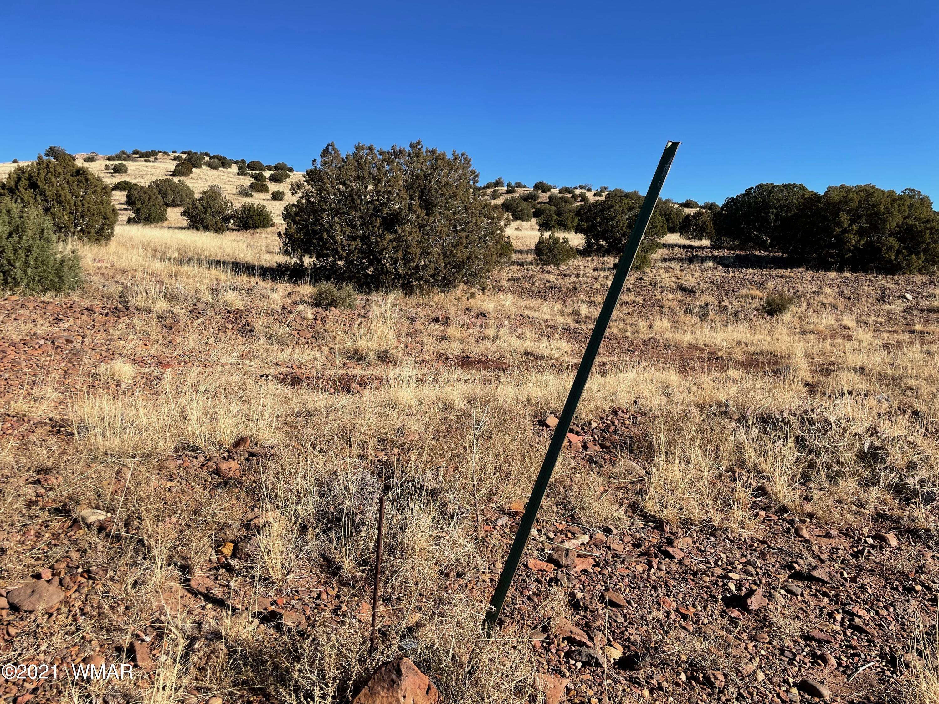 13 Antelope Road Concho, AZ 85924 - Photo 19 of 19
