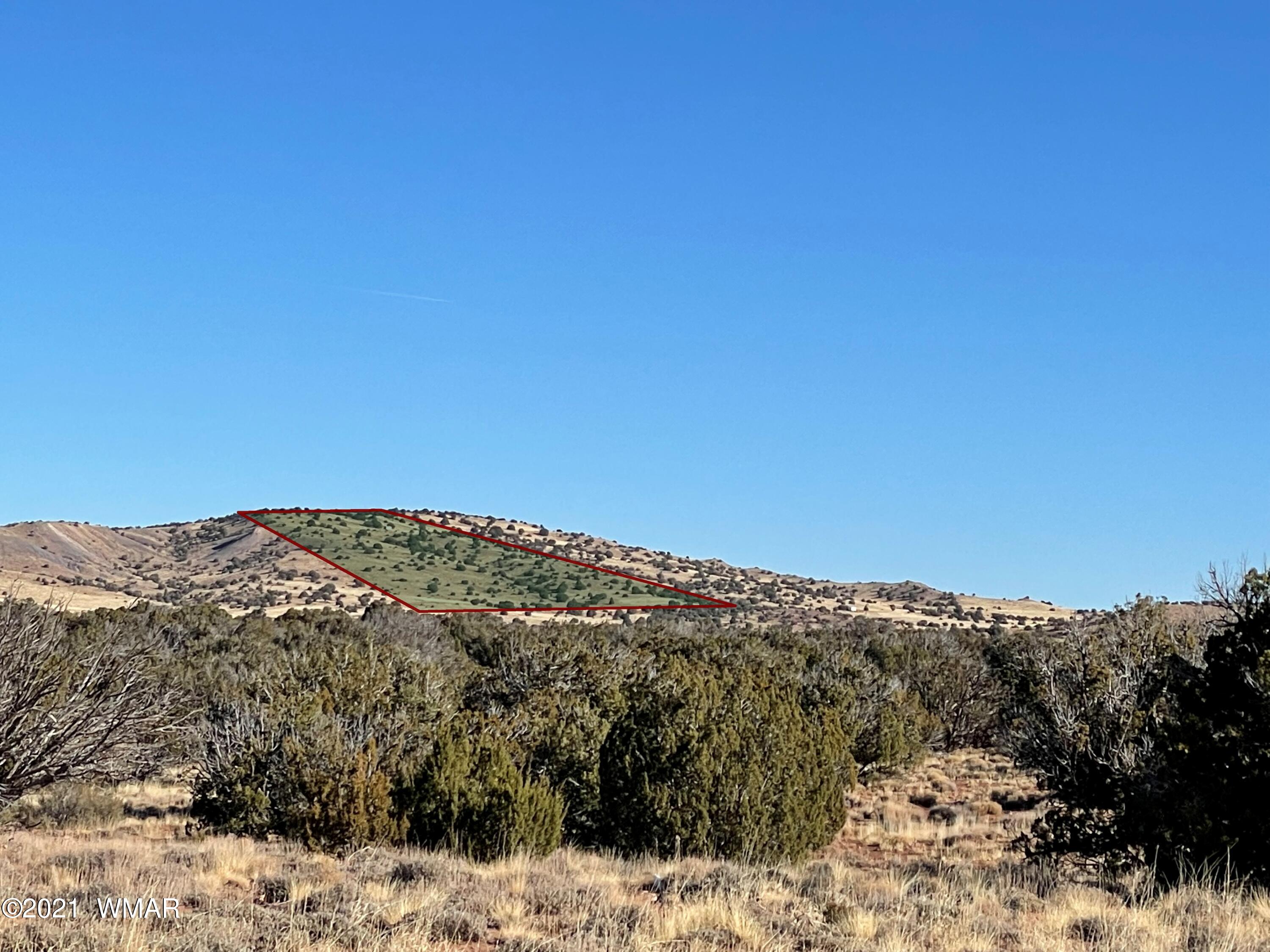 13 Antelope Road Concho, AZ 85924 - Photo 2 of 19