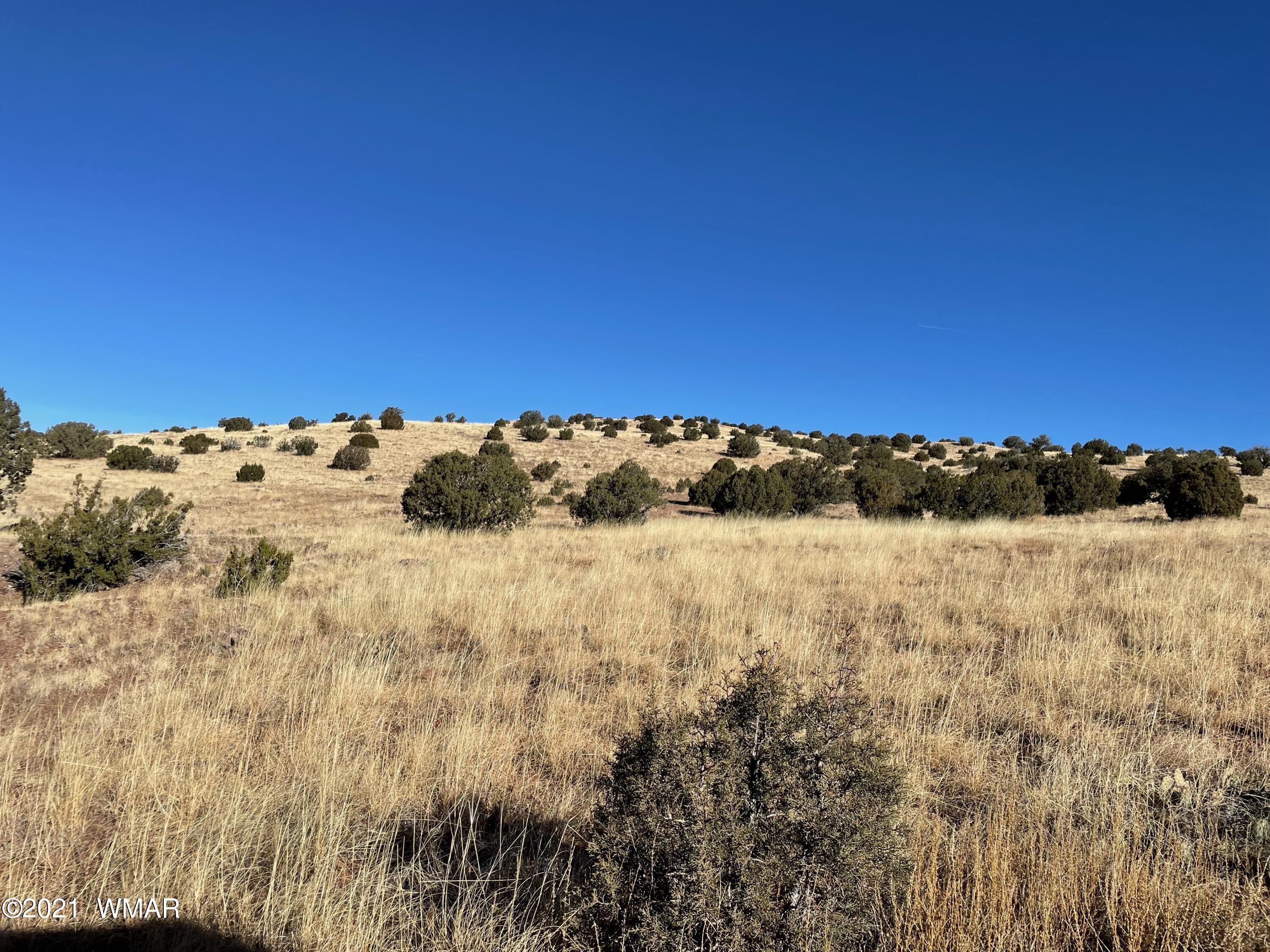 13 Antelope Road Concho, AZ 85924 - Photo 4 of 19