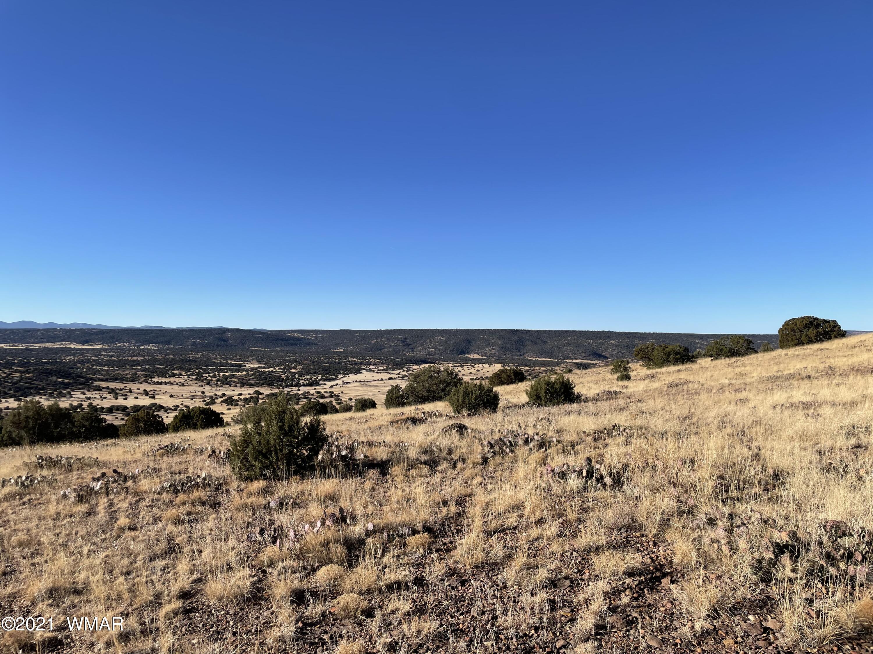 13 Antelope Road Concho, AZ 85924 - Photo 5 of 19