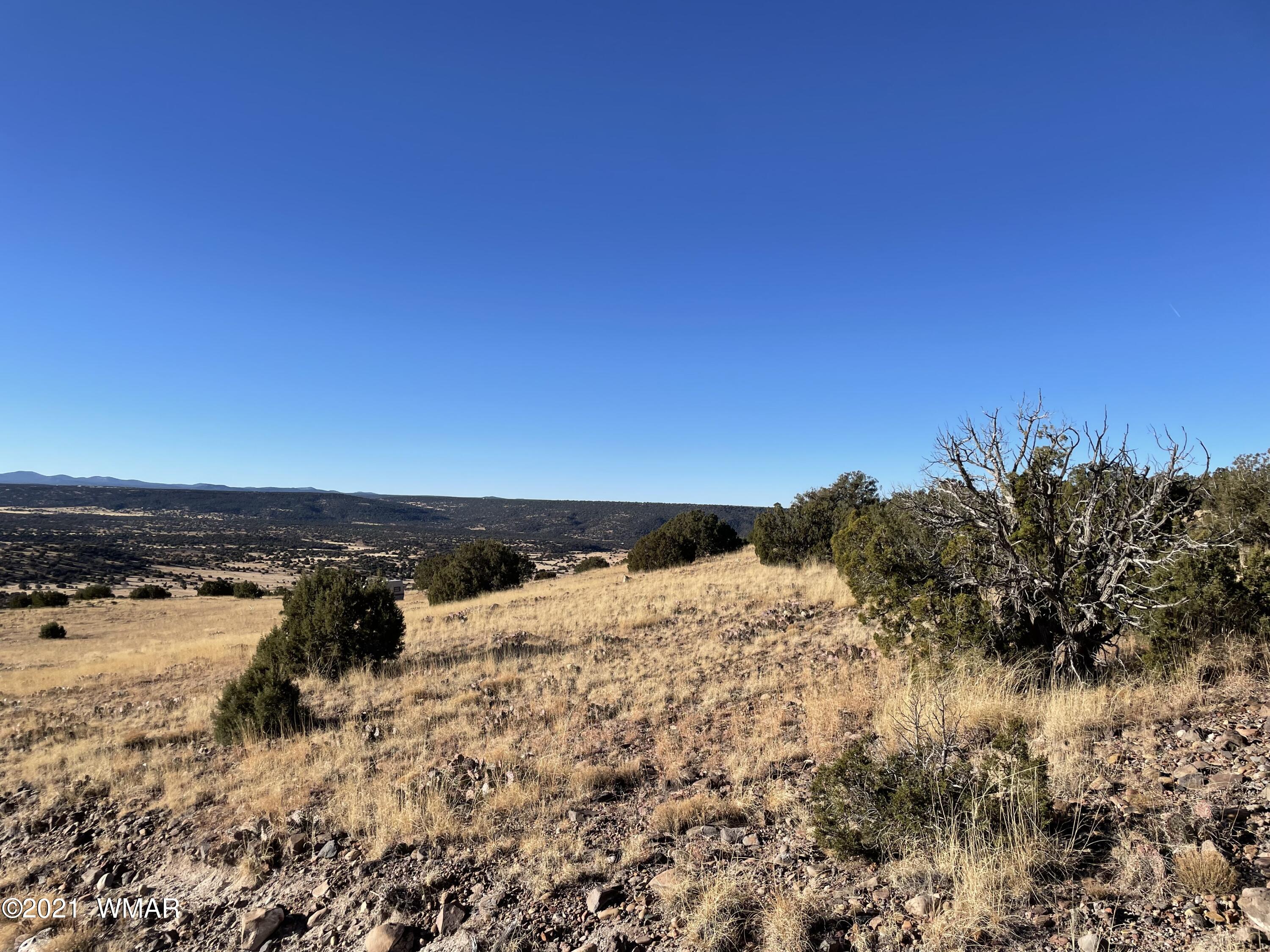 13 Antelope Road Concho, AZ 85924 - Photo 7 of 19
