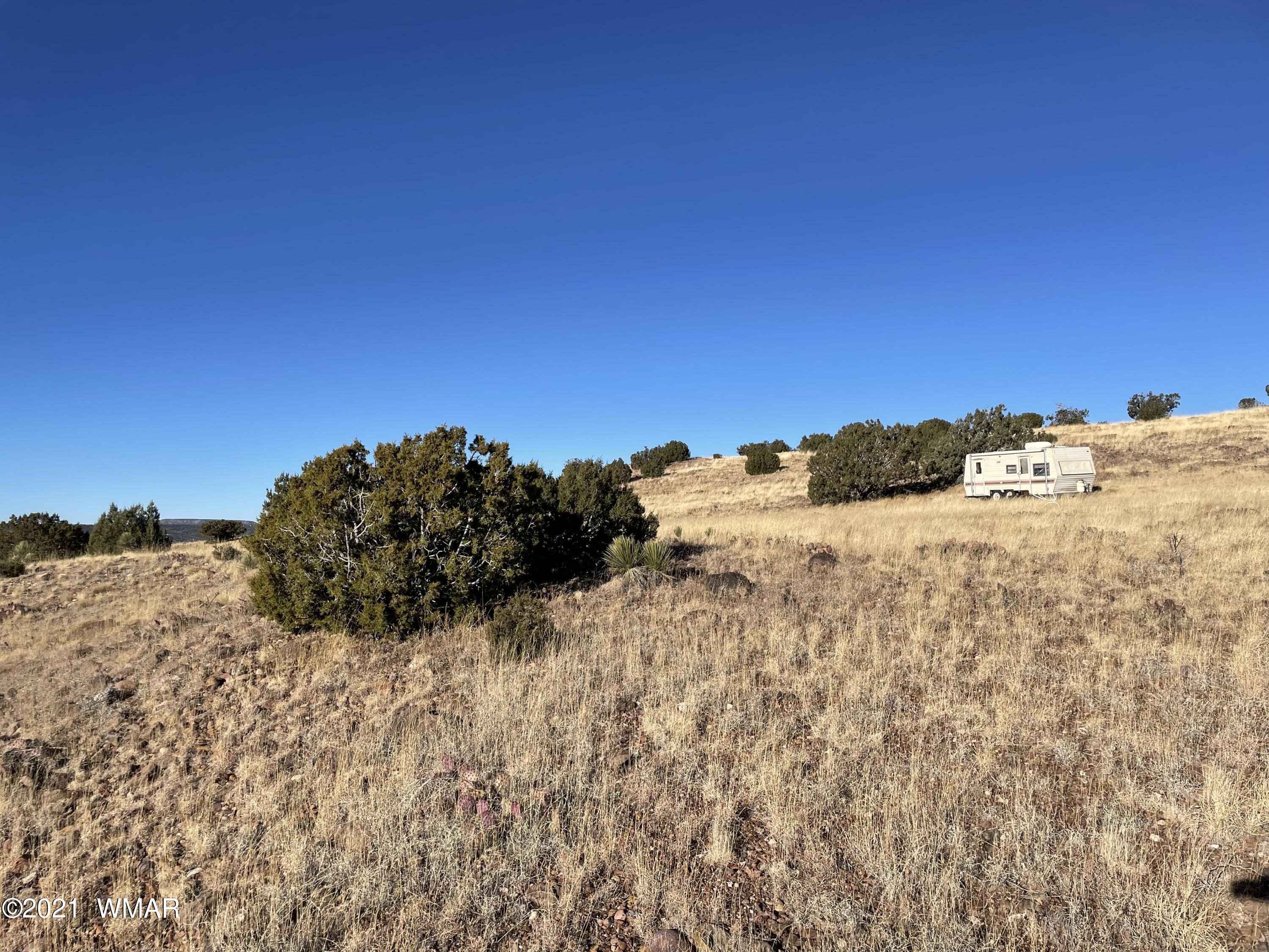 13 Antelope Road Concho, AZ 85924 - Photo 9 of 19