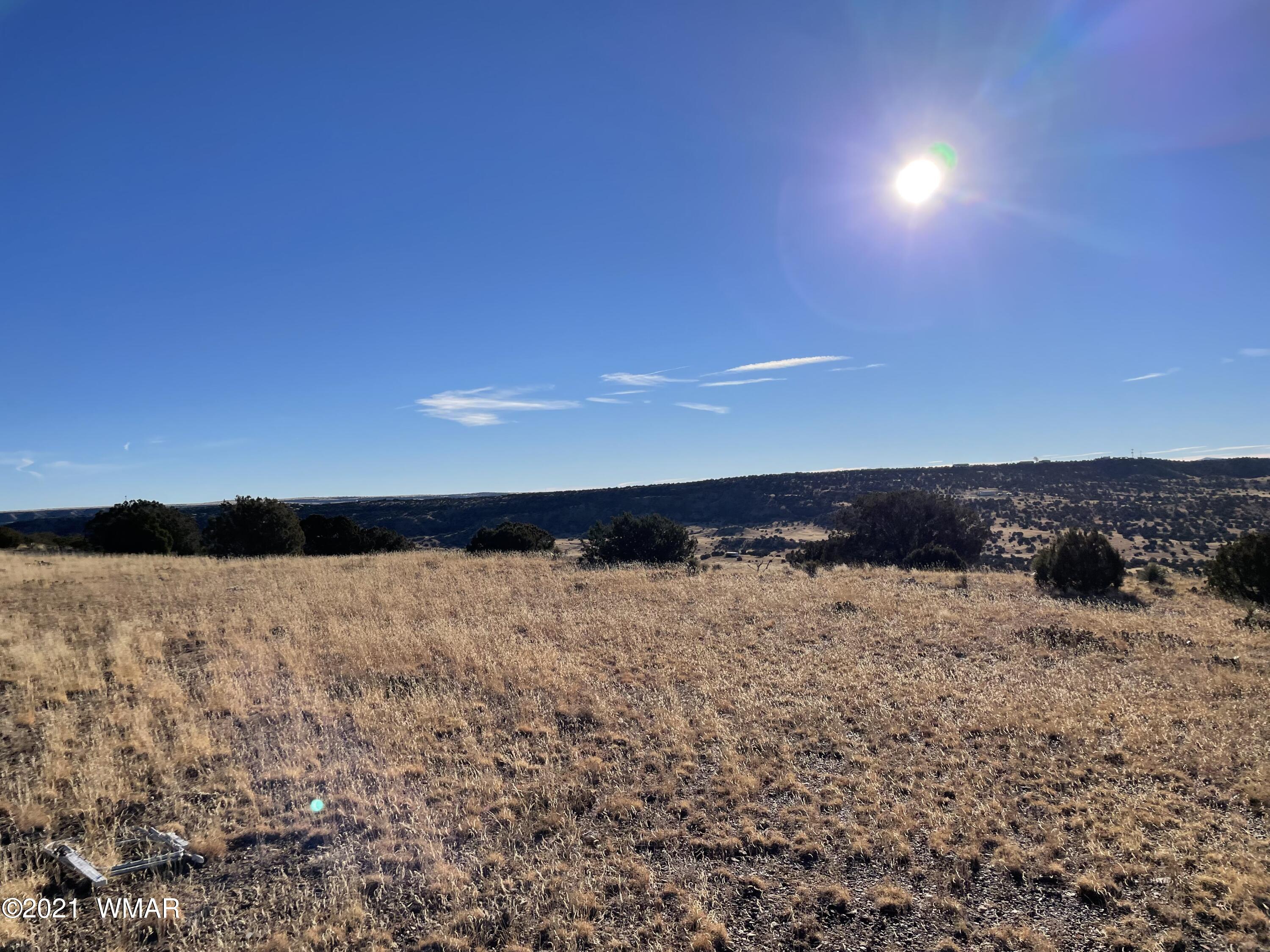 13 Antelope Road Concho, AZ 85924 - Photo 10 of 19