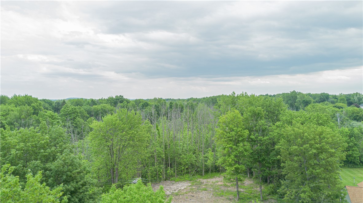 Whitney Road East Perinton, NY 14450 - Photo 6 of 6