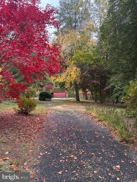 1546 Shipsview Road Annapolis, MD 21409 - Photo 2 of 10 a view of outdoor space with trees