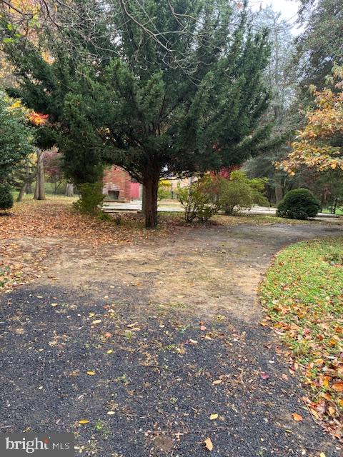 1546 Shipsview Road Annapolis, MD 21409 - Photo 4 of 10 a view of a yard with a tree