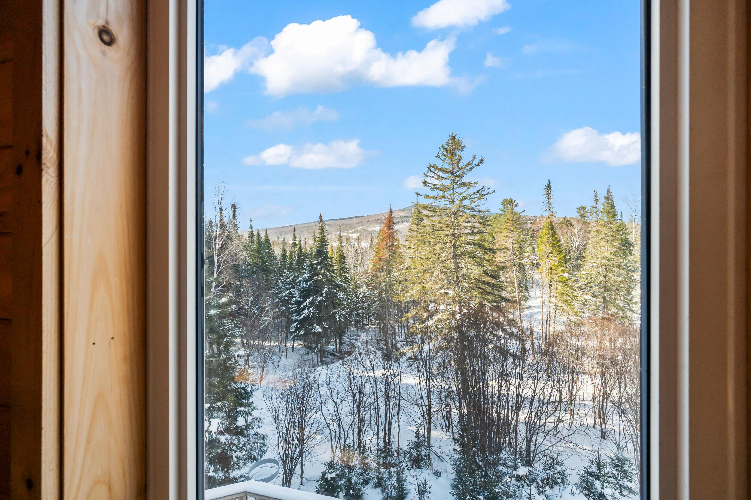 49 Field Way Rangeley, ME 04970 - Photo 37 of 60 DSC_6589
