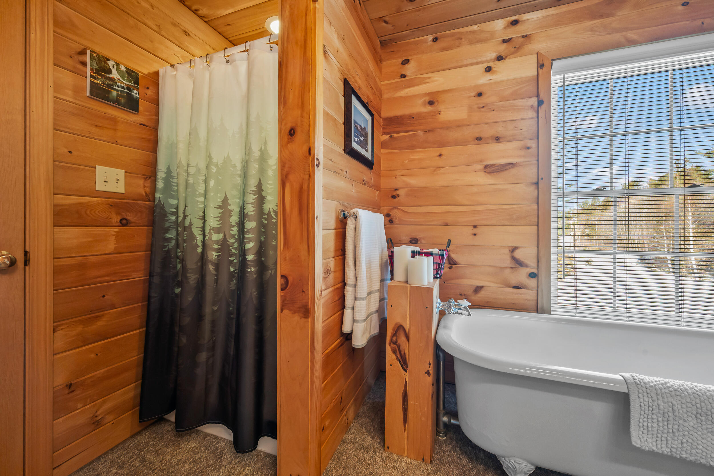49 Field Way Rangeley, ME 04970 - Photo 44 of 60 DSC_6616