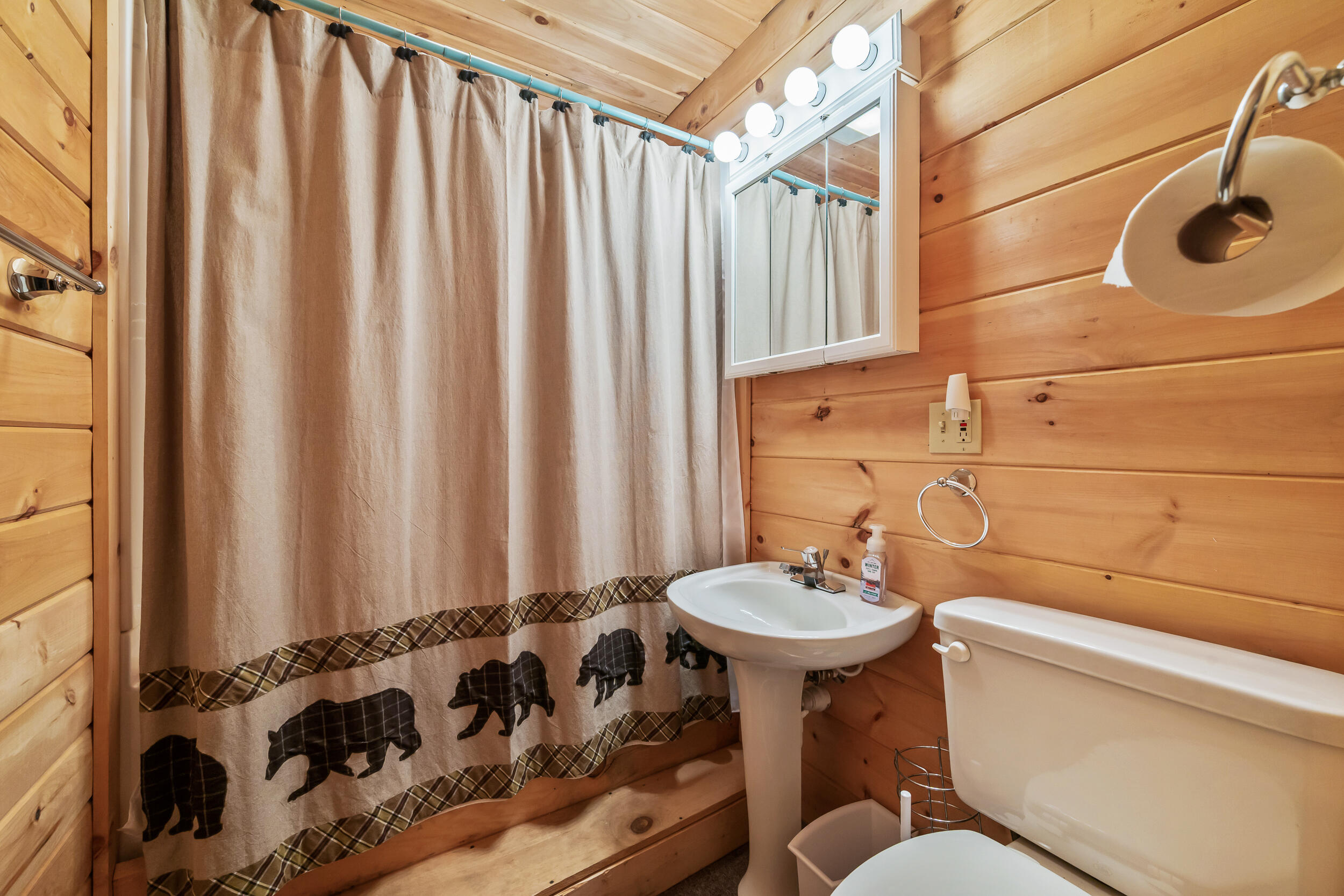 49 Field Way Rangeley, ME 04970 - Photo 49 of 60 DSC_6631