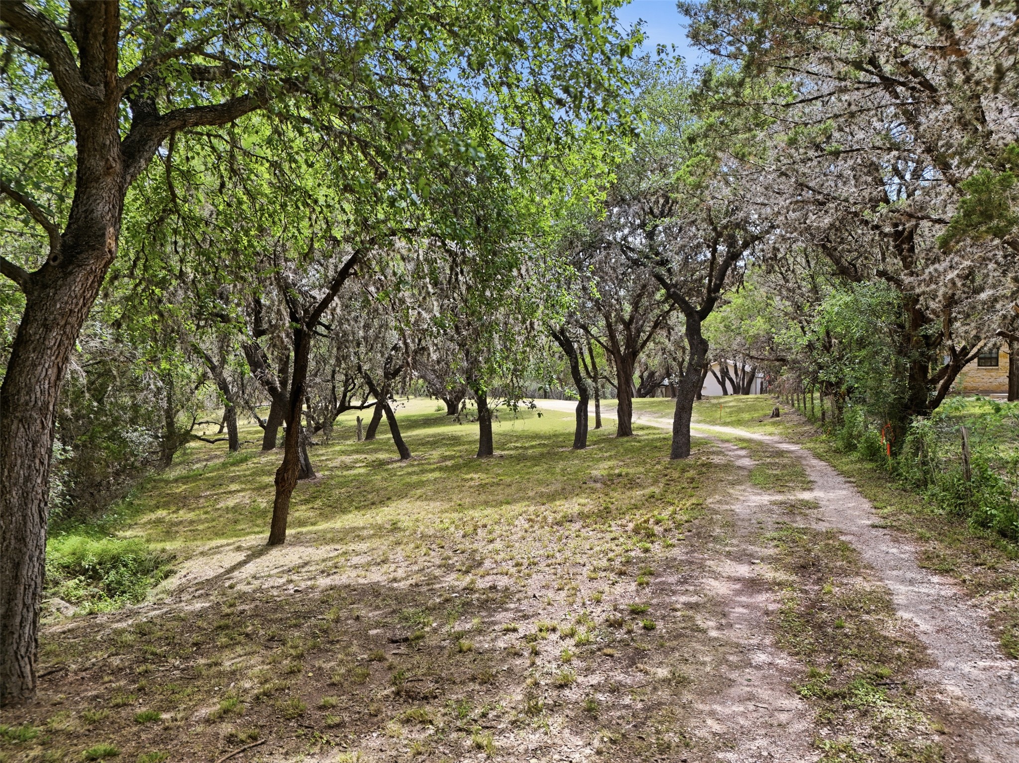 1260 Magers Road Concan, TX 78838 - Photo 29 of 40 A private driveway winds through a naturally shaded lot, offering tranquil privacy.
