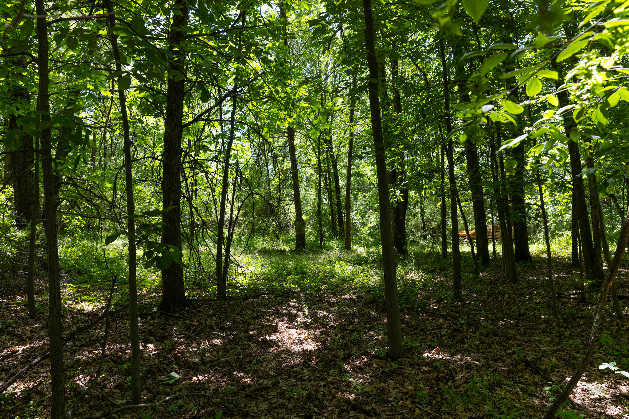 28 28 Mile Road Albion, MI 49224 - Photo 14 of 41 28 Mile -24