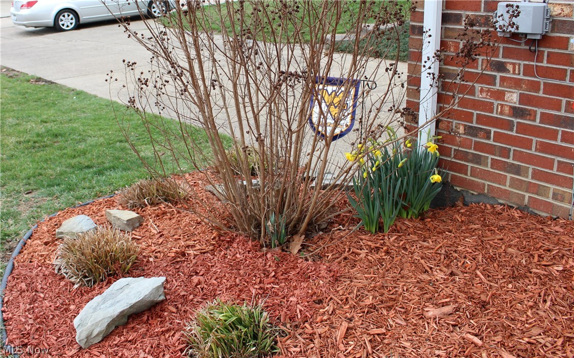 8 Romine Road Washington, WV 26181 - Photo 3 of 34 A preview of Spring.