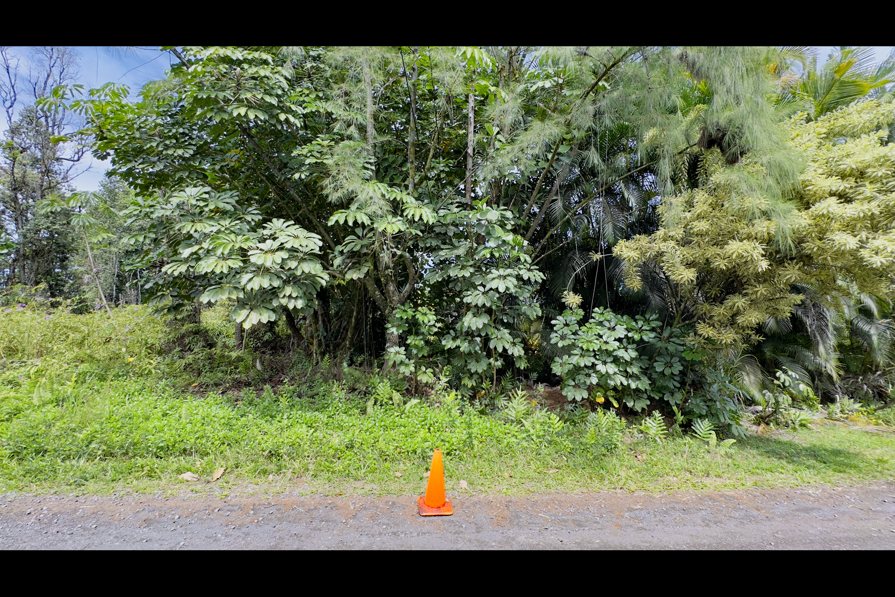 355 Lemiwai Road Keaau, HI 96749 - Photo 11 of 16 Gallery Image 11