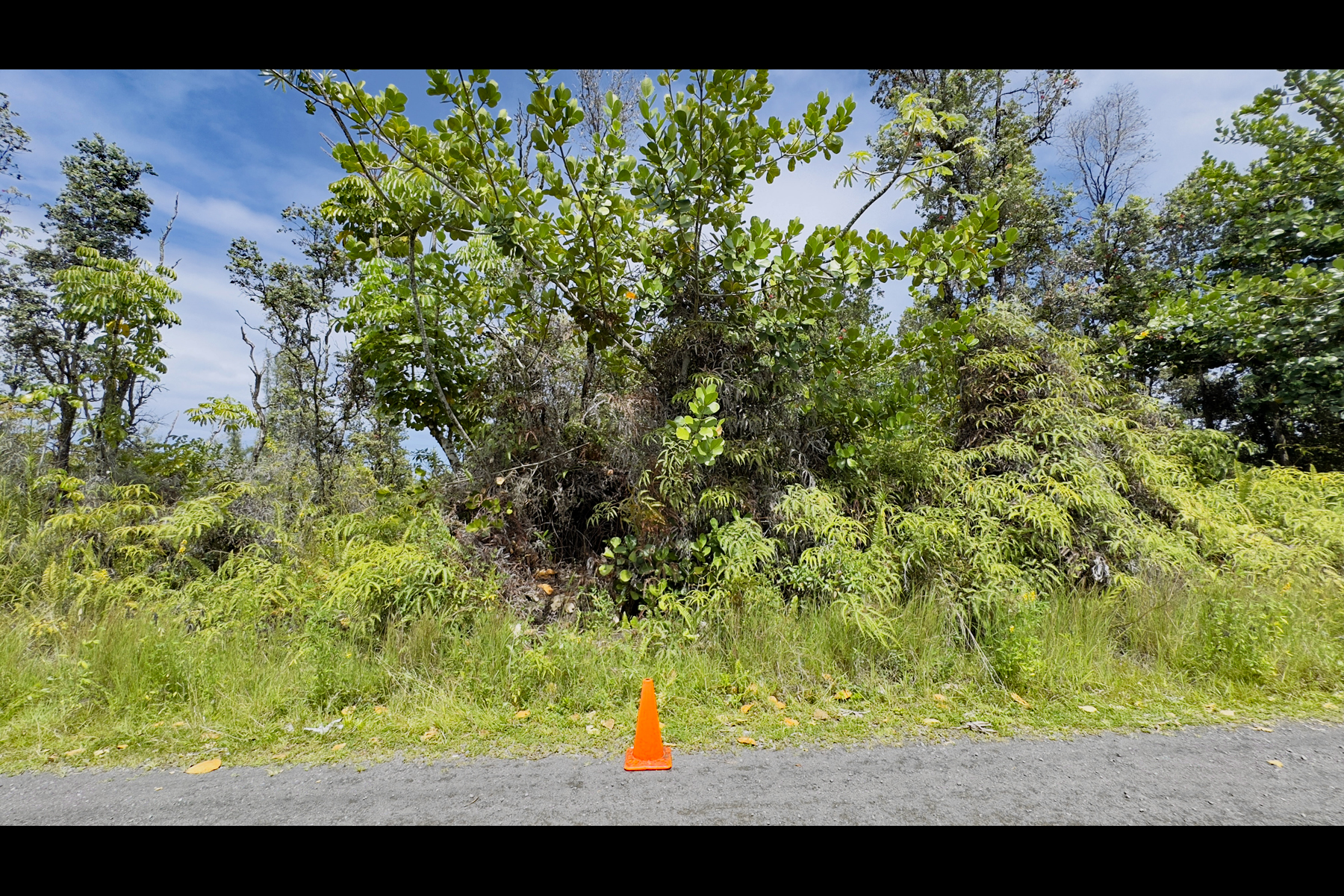 355 Lemiwai Road Keaau, HI 96749 - Photo 3 of 16 Gallery Image 3