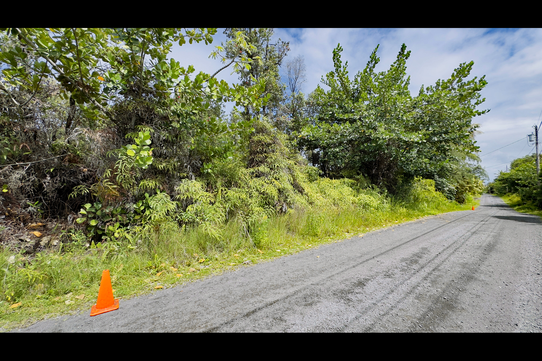 355 Lemiwai Road Keaau, HI 96749 - Photo 4 of 16 Gallery Image 4
