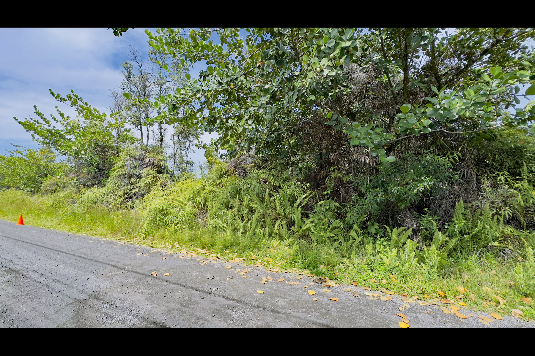 355 Lemiwai Road Keaau, HI 96749 - Photo 6 of 16 Gallery Image 6
