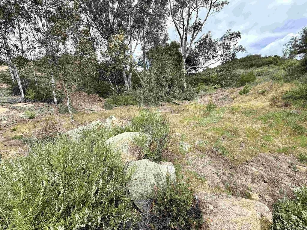 0 Mt Olympus Valley Road Fallbrook, CA 92028 - Photo 43 of 50