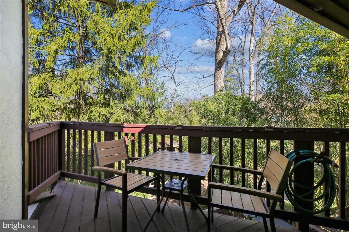 6317 Poe Road Bethesda, MD 20817 - Photo 19 of 43 How fun! Second floor deck off of the lounge area.