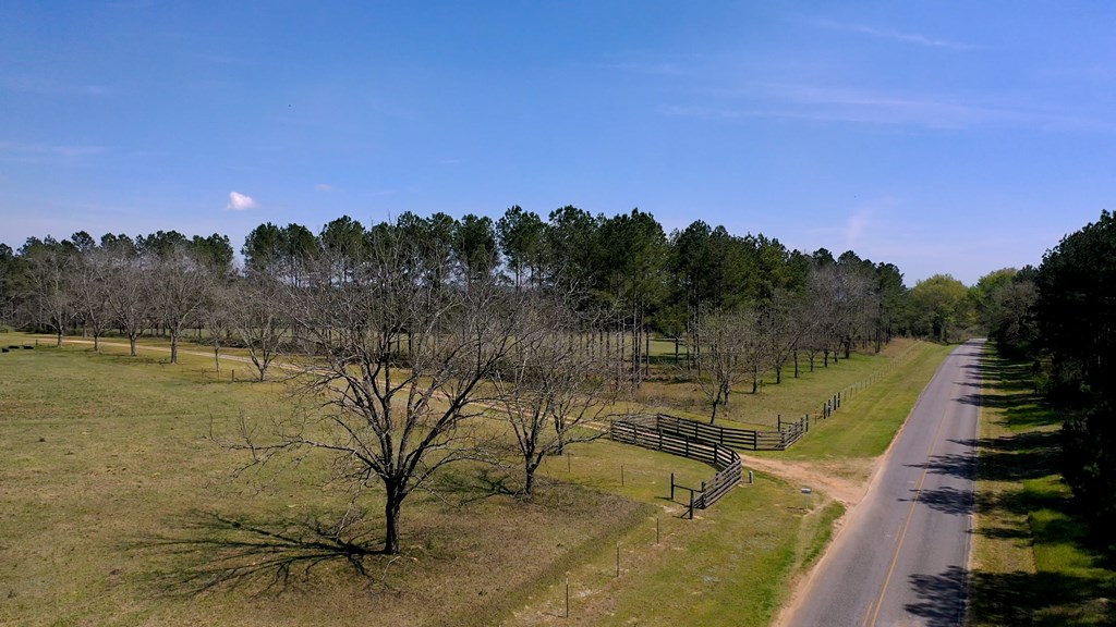 369 Bud Gary Road Clayton, AL 36016 - Photo 40 of 42