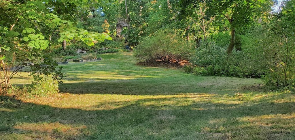 75 Bridge Street Manchester, MA 01944 - Photo 2 of 23 a view of a yard with a large trees