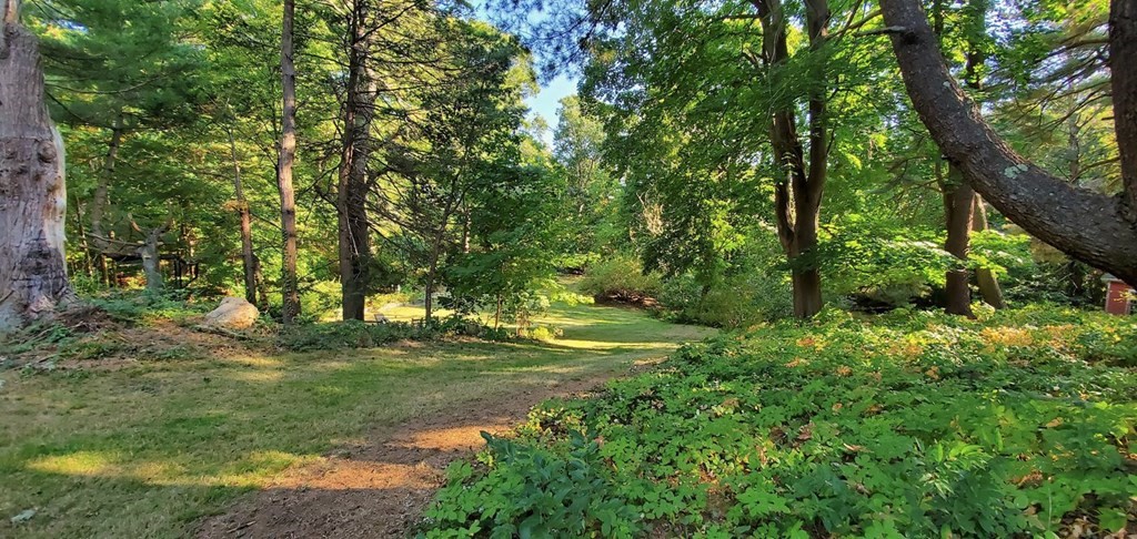 75 Bridge Street Manchester, MA 01944 - Photo 3 of 23 a view of a grassy area with large trees