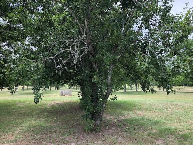 29221 Fleeta Road Opp, AL 36467 - Photo 22 of 30 Gallery Image 22