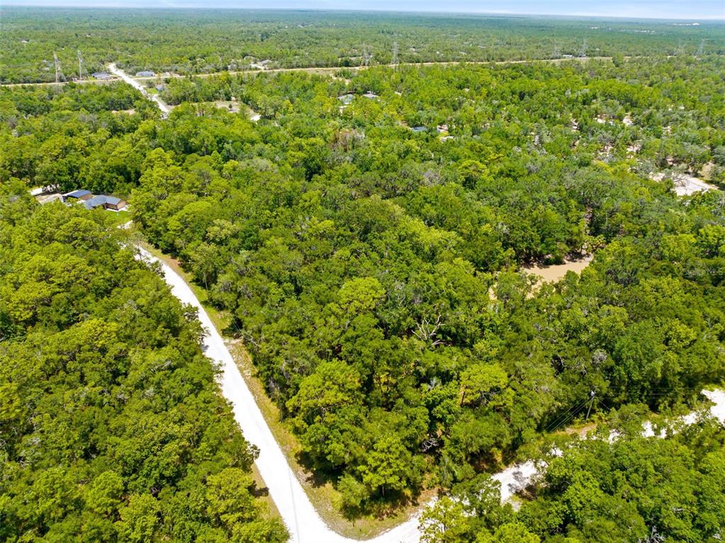 0 Ricebird Avenue, Unit LOT 89 Weeki Wachee, FL 34614 - Photo 4 of 27