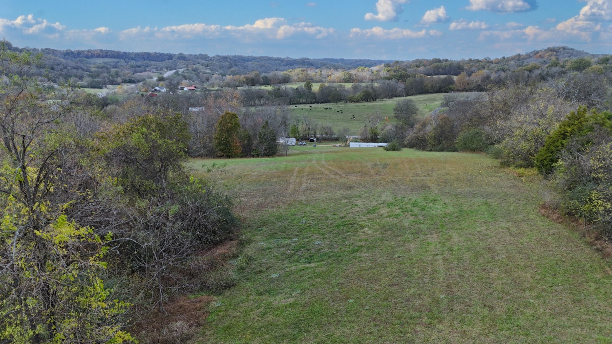 1666 Darks Mill Road Columbia, TN 38401 - Photo 11 of 14 Gallery Image 11