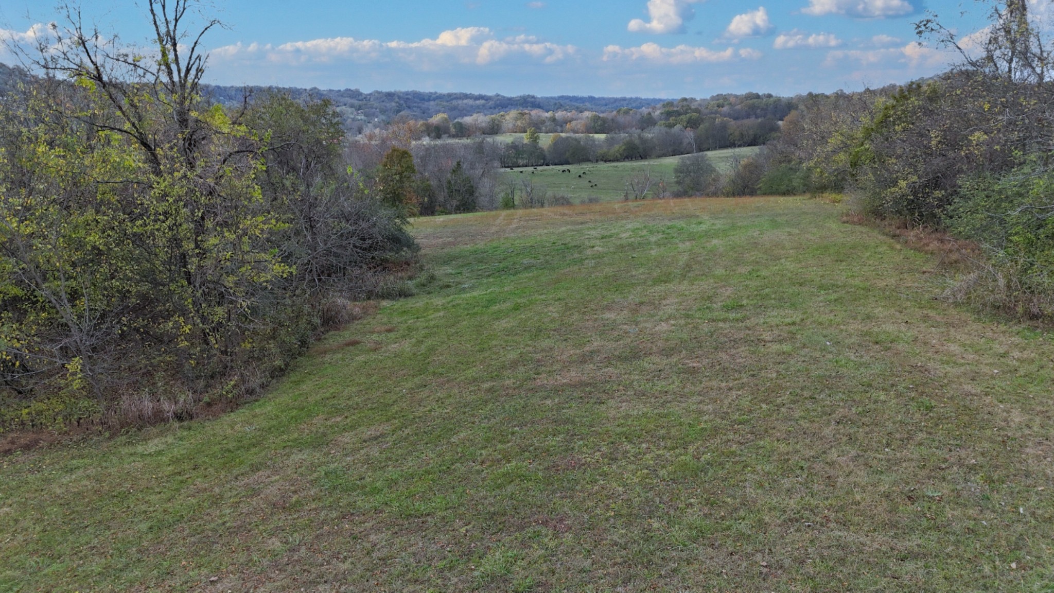 1666 Darks Mill Road Columbia, TN 38401 - Photo 13 of 14 Gallery Image 13