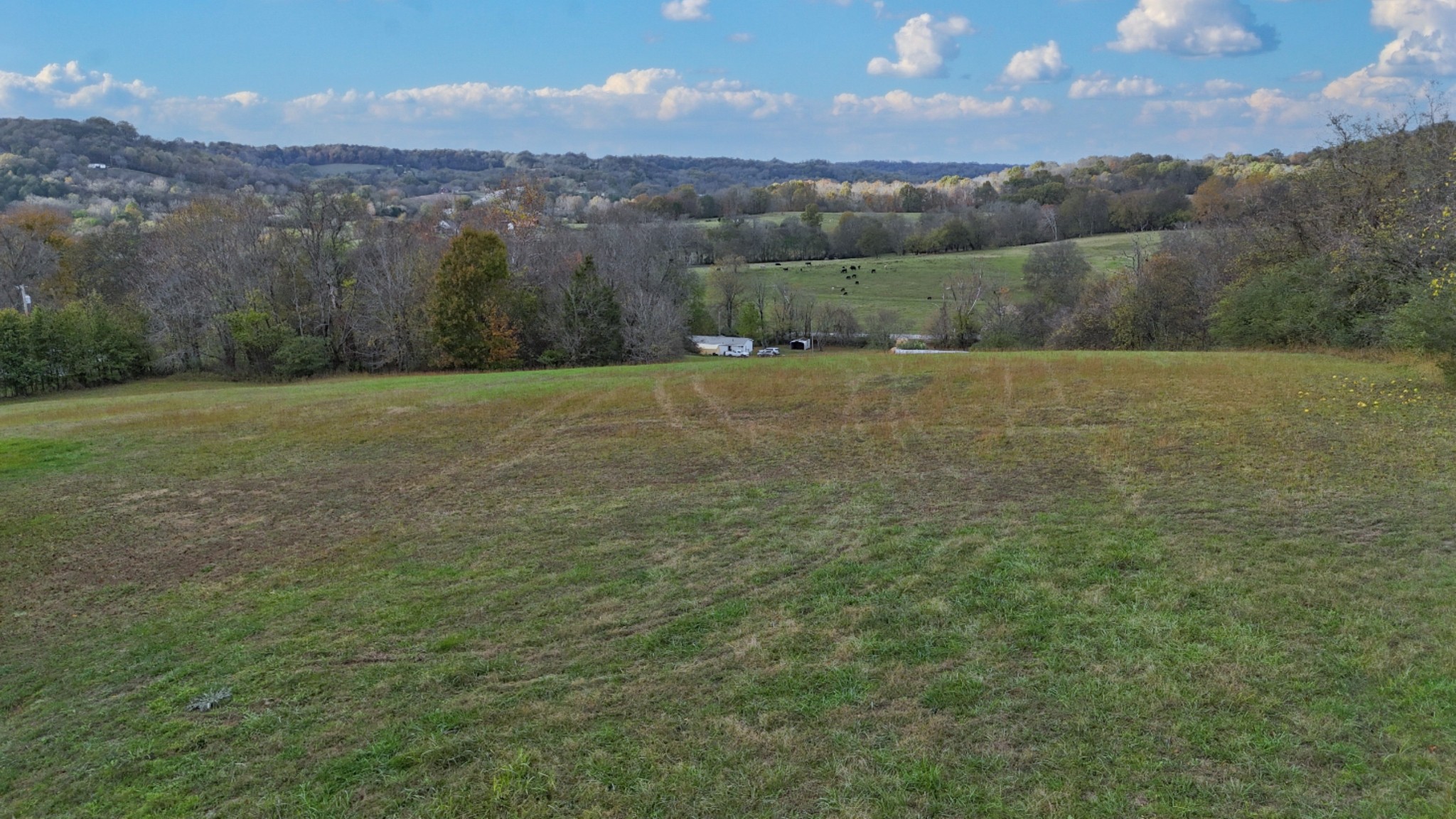 1666 Darks Mill Road Columbia, TN 38401 - Photo 14 of 14 Gallery Image 14