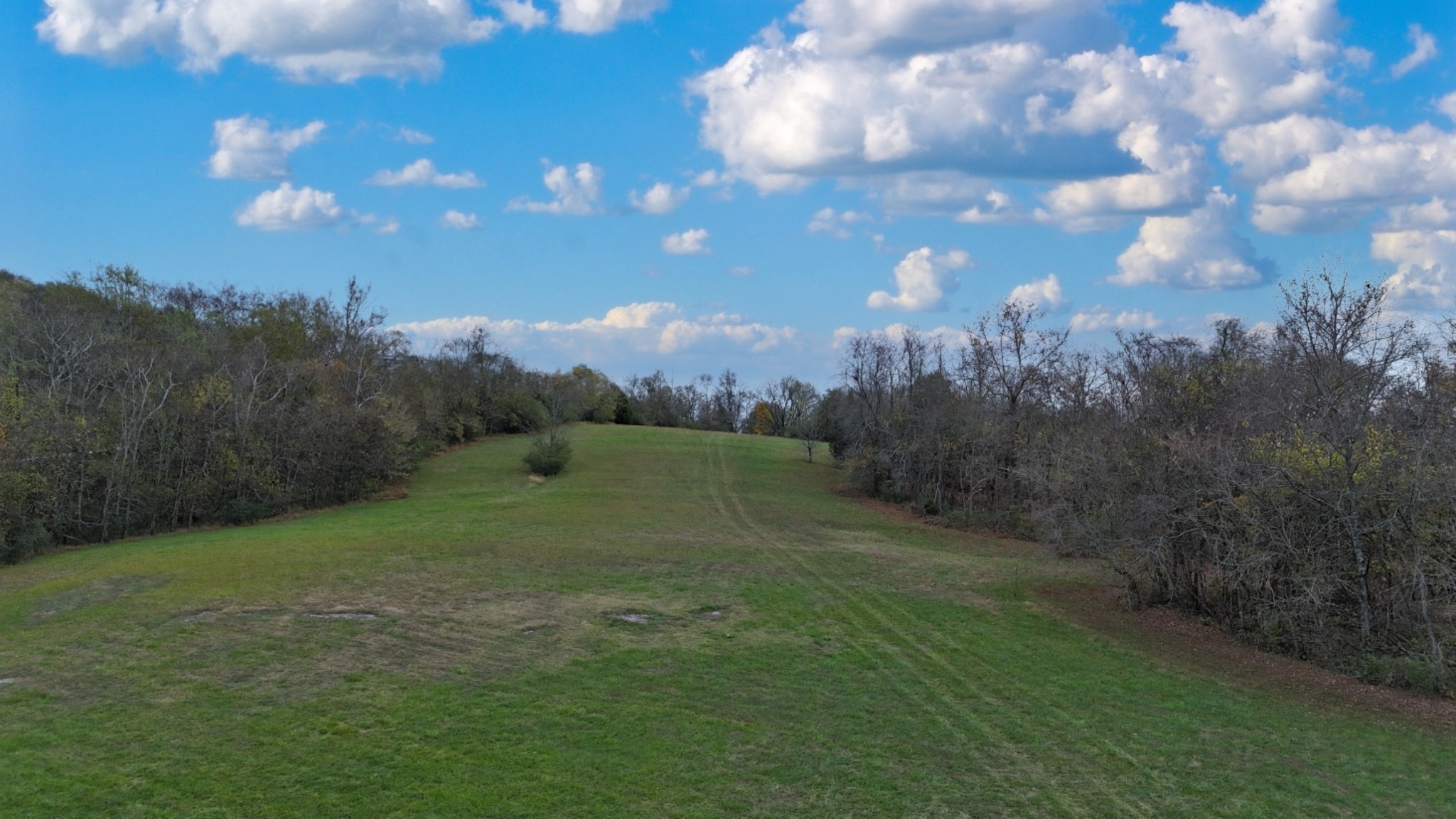 1666 Darks Mill Road Columbia, TN 38401 - Photo 2 of 14 Gallery Image 2