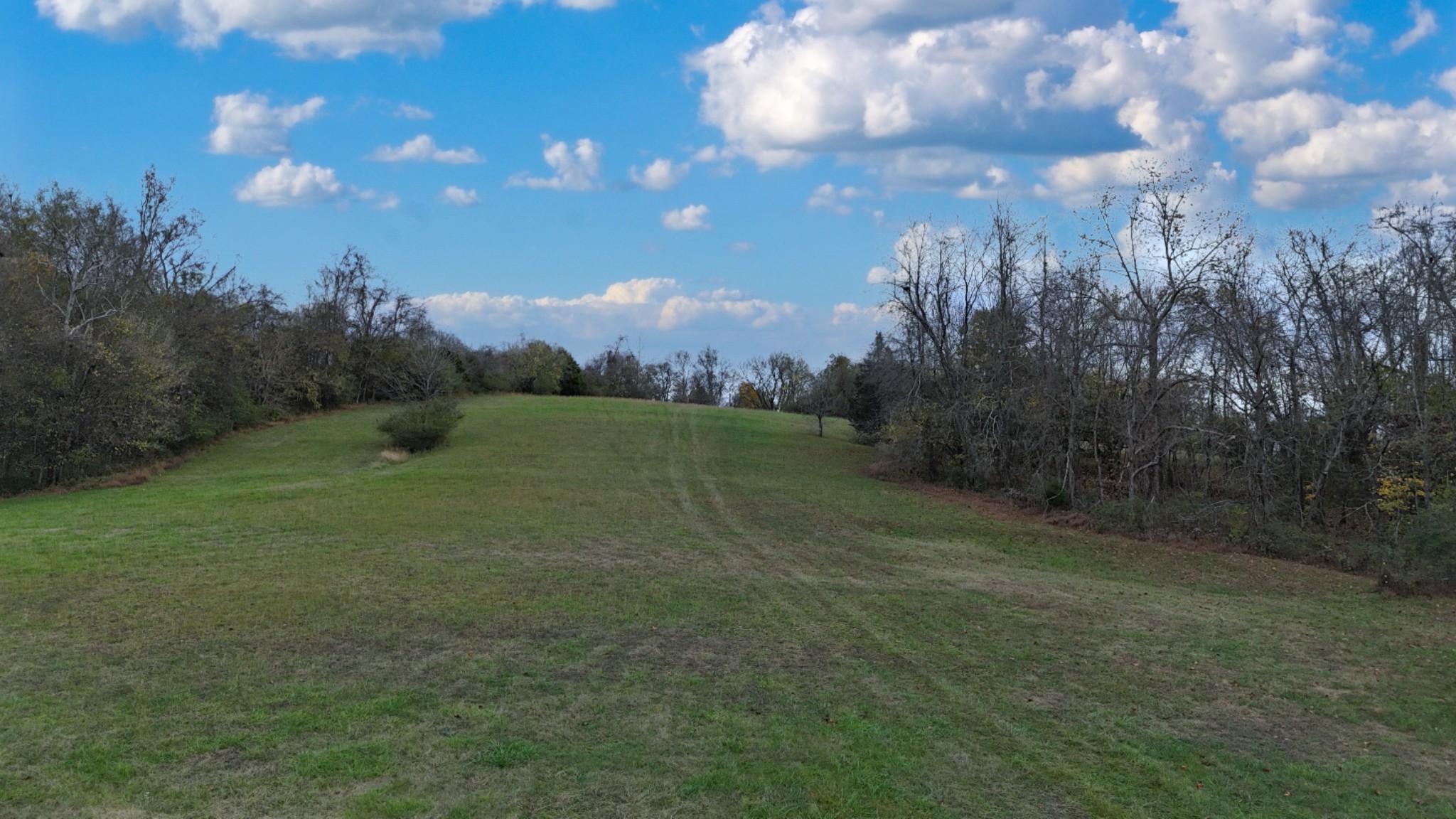 1666 Darks Mill Road Columbia, TN 38401 - Photo 9 of 14 Gallery Image 9