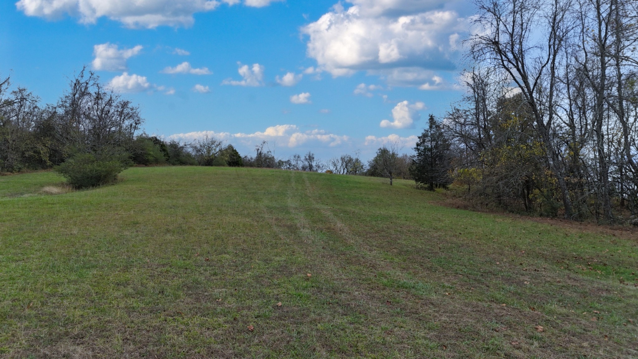 1666 Darks Mill Road Columbia, TN 38401 - Photo 10 of 14 Gallery Image 10