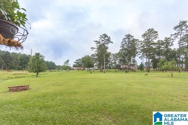 2784 England Road Lincoln, AL 35096 - Photo 46 of 49