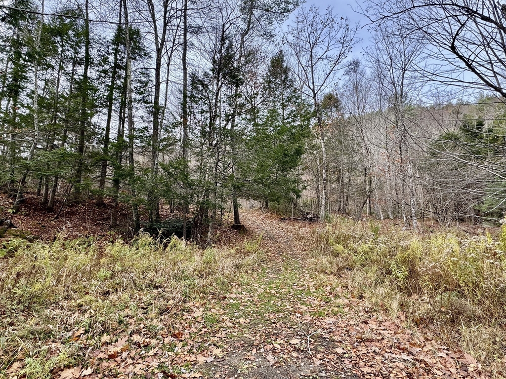 0 West Oxbow Road Shelburne Falls, MA 01370 - Photo 2 of 12