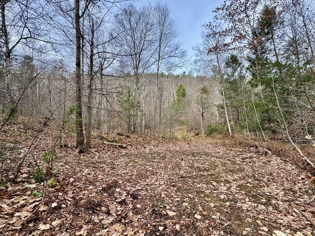 0 West Oxbow Road Shelburne Falls, MA 01370 - Photo 3 of 12