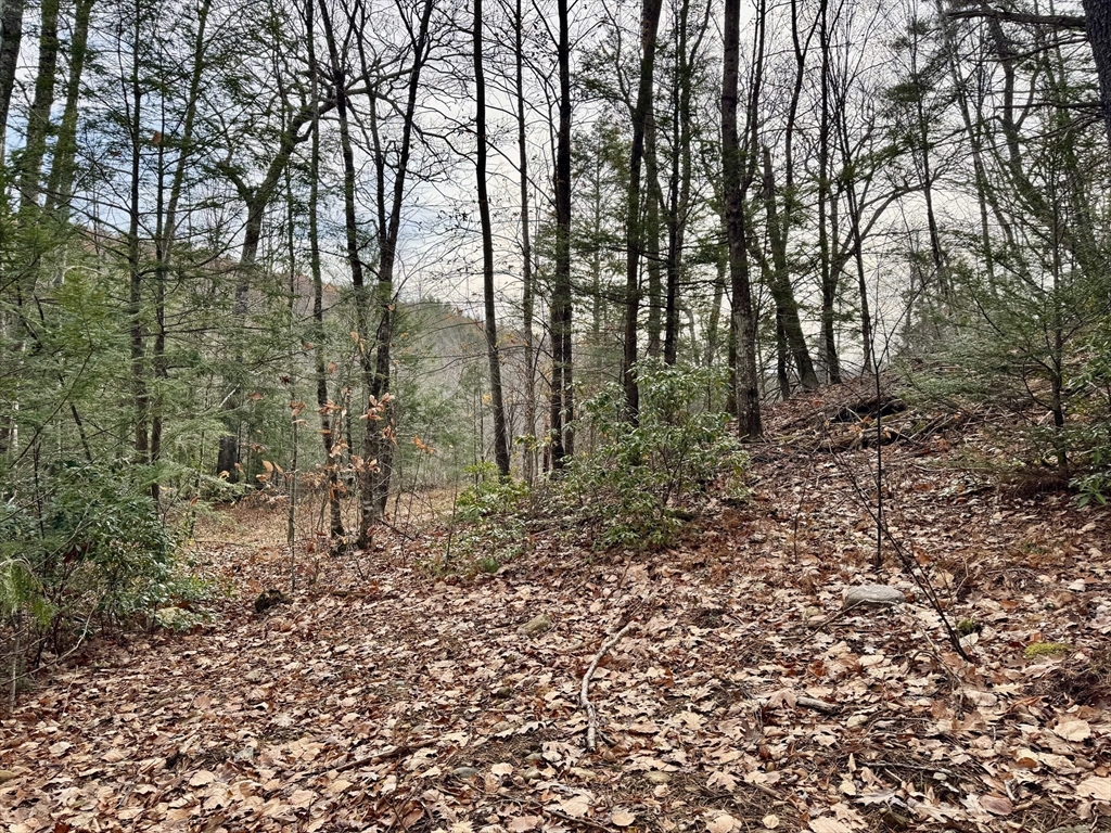 0 West Oxbow Road Shelburne Falls, MA 01370 - Photo 4 of 12