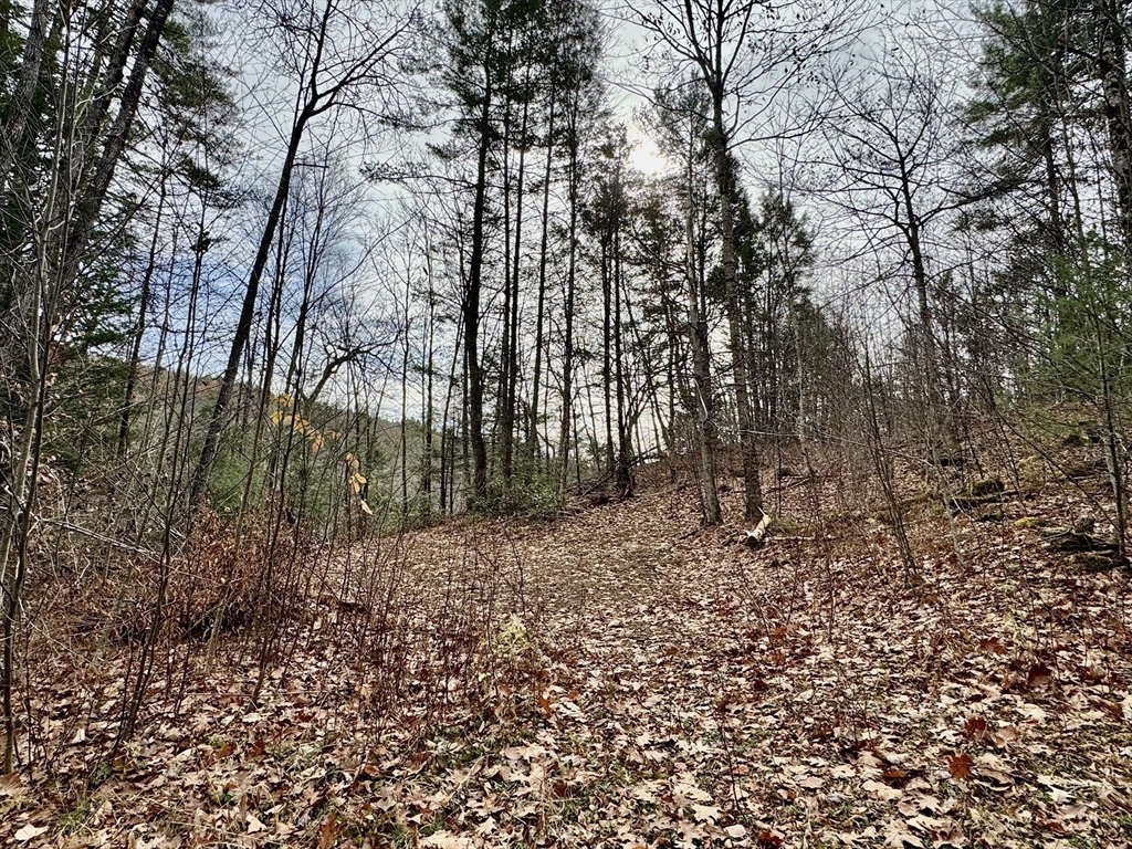 0 West Oxbow Road Shelburne Falls, MA 01370 - Photo 5 of 12