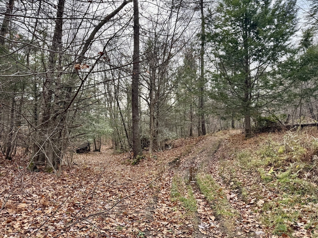 0 West Oxbow Road Shelburne Falls, MA 01370 - Photo 6 of 12