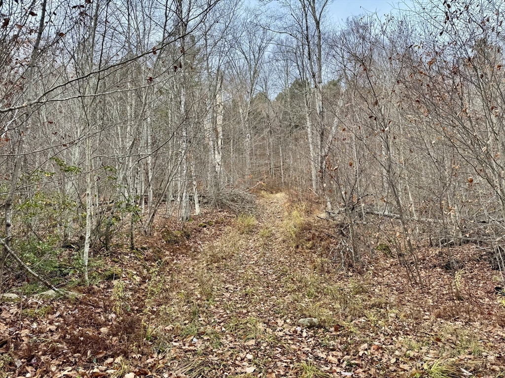 0 West Oxbow Road Shelburne Falls, MA 01370 - Photo 7 of 12