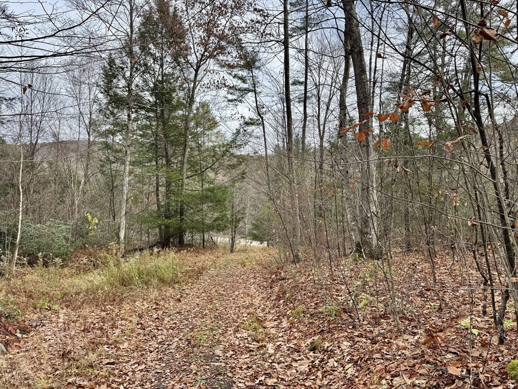 0 West Oxbow Road Shelburne Falls, MA 01370 - Photo 8 of 12