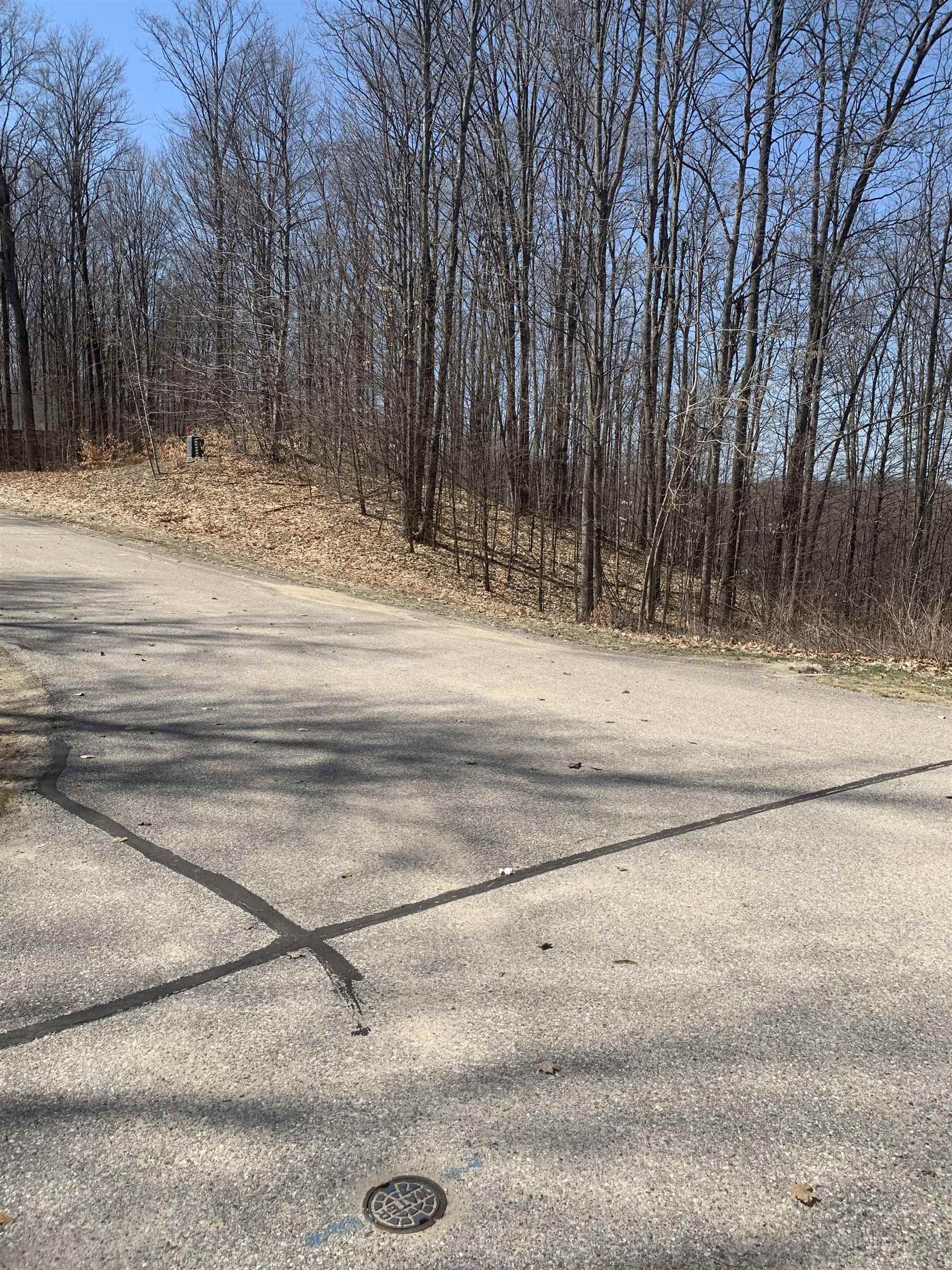158 Raptor Run Bellaire, MI 49615 - Photo 5 of 6