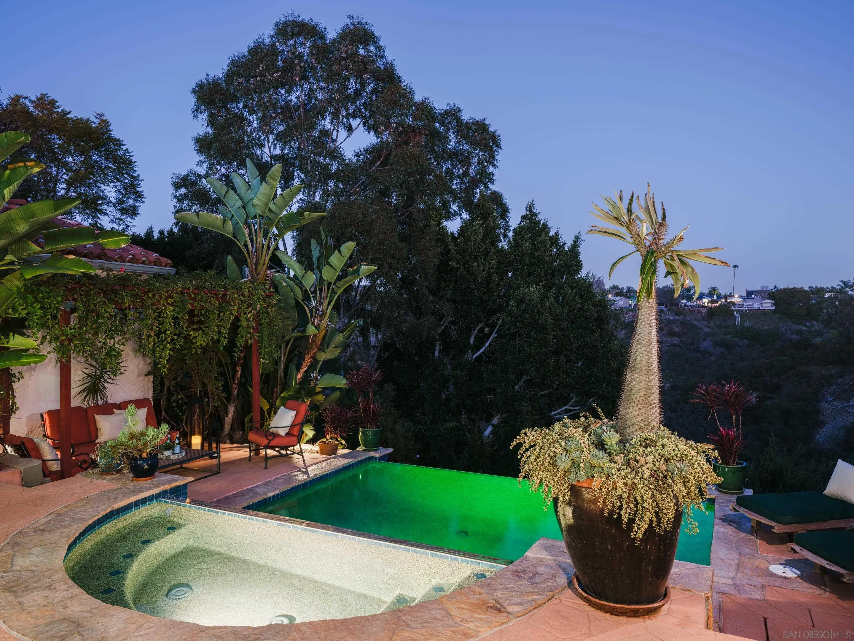 4725 Natalie Drive San Diego, CA 92115 - Photo 3 of 34 a view of a backyard with plants and palm trees