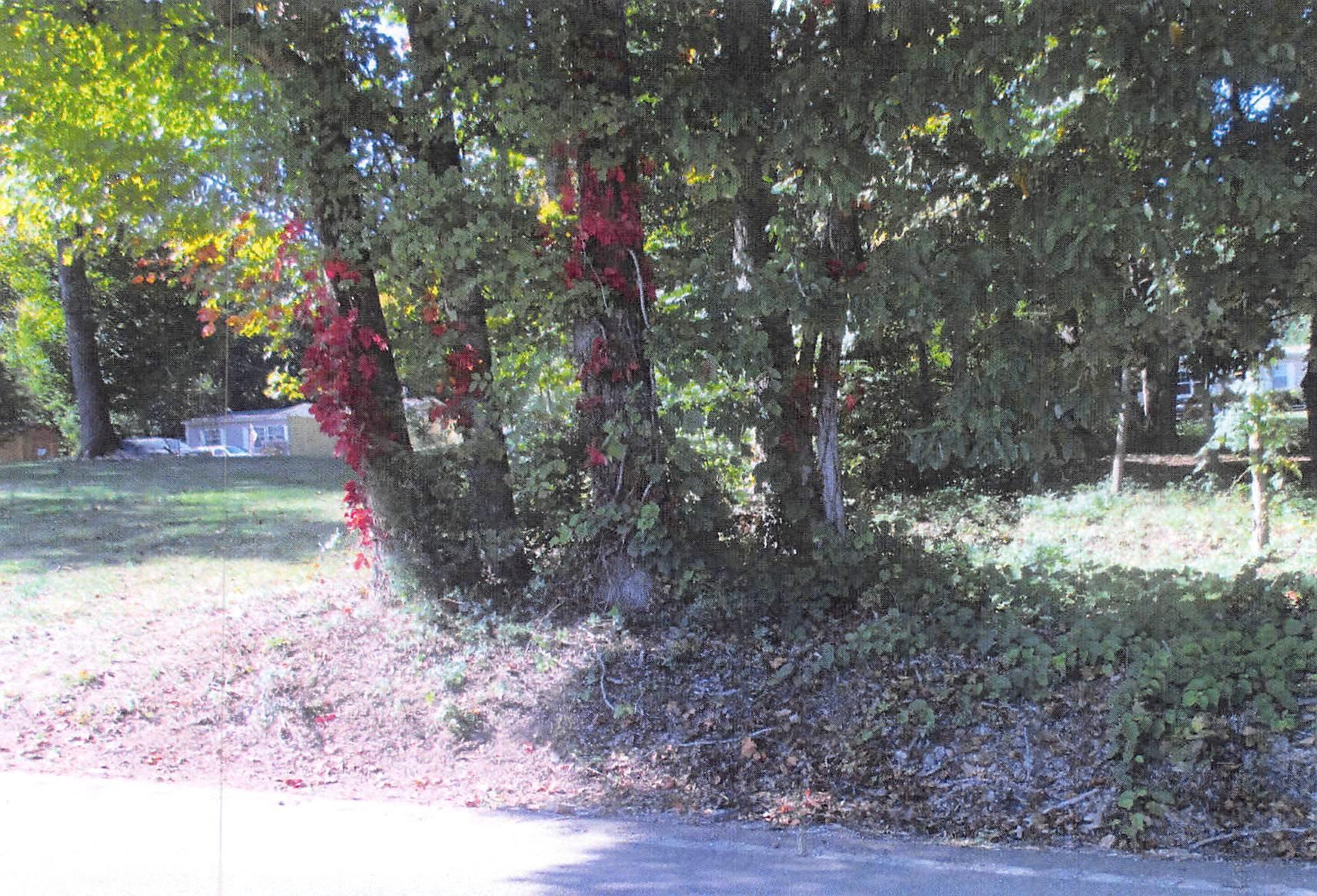 3541 Clear Springs Road Mascot, TN 37806 - Photo 1 of 1 Clear sp