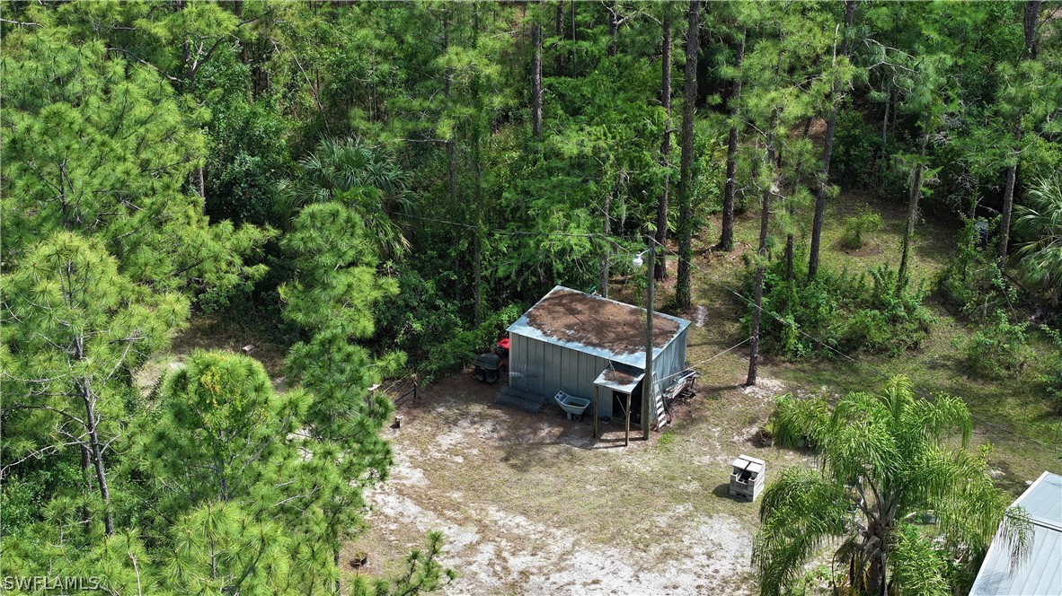 720 E Road LaBelle, FL 33935 - Photo 13 of 40 a wooden bench sitting in the middle of a forest